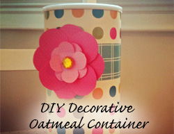 Ways to reuse.: Ways to reuse oatmeal containers!  Oatmeal container, Oatmeal  container crafts, Oatmeal