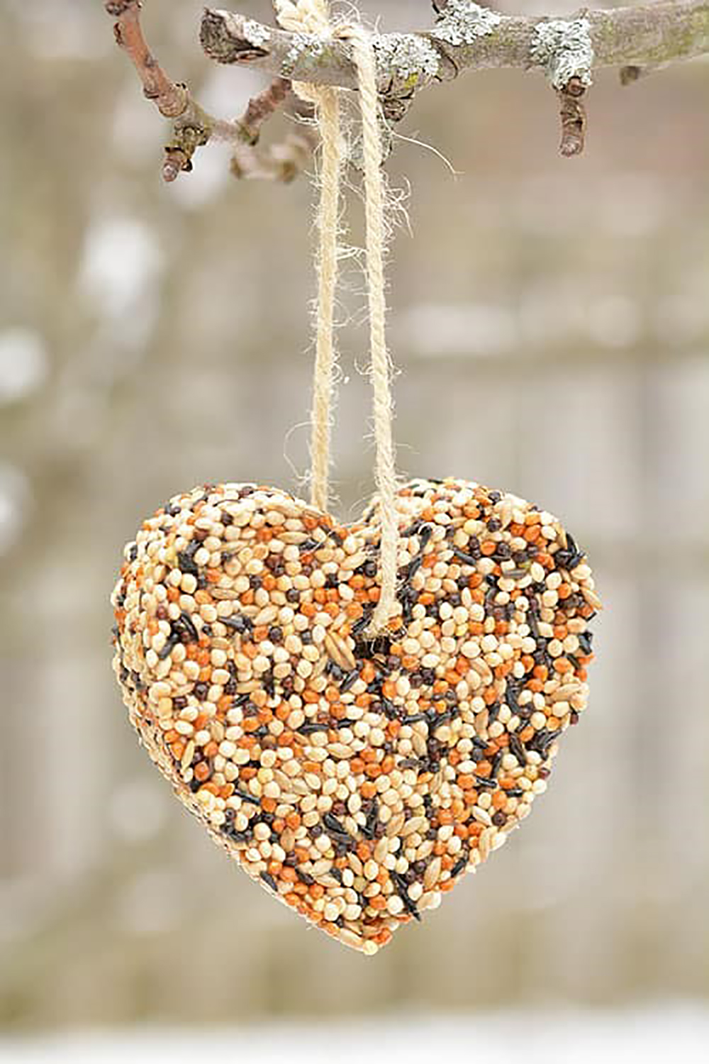 Cozy Gifts for All Five Senses: Fall Edition