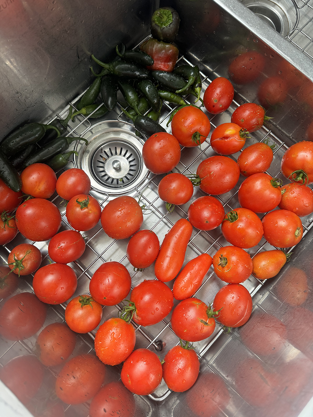 Tomatoes Galore? Perfect Excuse to Bless a Friend