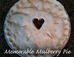 Memorable Mulberry Pie