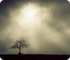 5 Ways to Care for Someone in the Early Days of Grief